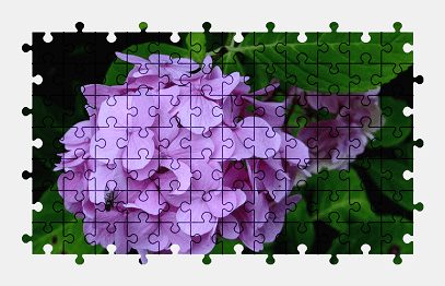 Jigsaw puzzle online purple,hydrangea,flower,nature,colorful