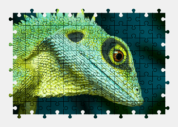 Jigsaw puzzle online iguana,lizard,animal,colorful