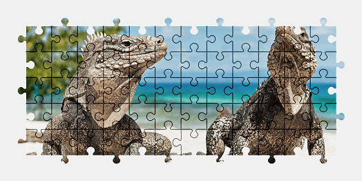 Jigsaw puzzle online iguana,animal,colorful