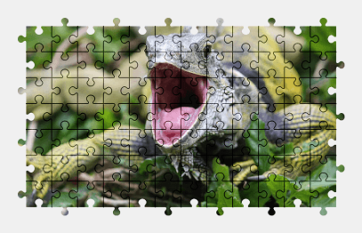Jigsaw puzzle online iguana,animal,lizard,colorful,nature