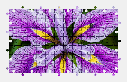 Jigsaw puzzle online flower,plant,colorful,nature