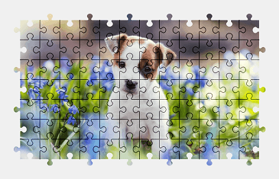 Jigsaw puzzle online jack-russell-terrier,puppy,dog,animal,colorful