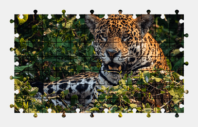 Jigsaw puzzle online jaguar,animal,nature