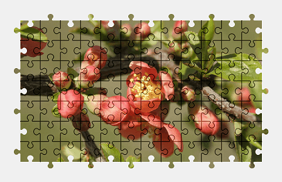Jigsaw puzzle online flower,nature,spring