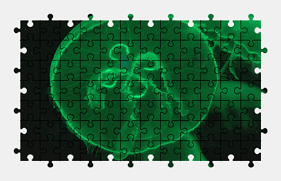 Jigsaw puzzle online jellyfish,animal,water