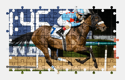 Jigsaw puzzle online horse,animal,sport
