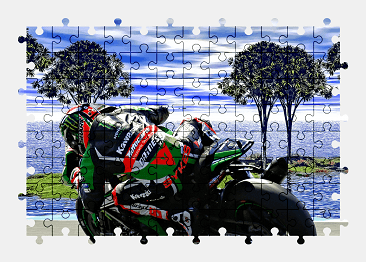 Jigsaw puzzle online kawasaki,superbike,motorcycle,vehicle,colorful