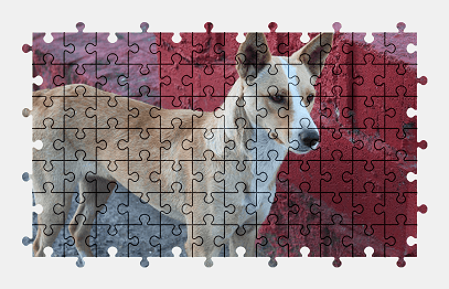 Jigsaw puzzle online dog,animal