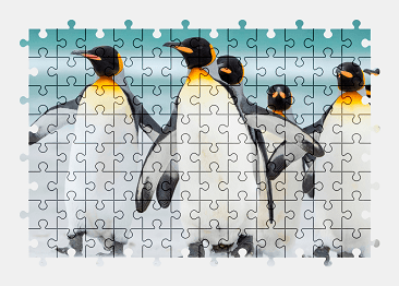 Jigsaw puzzle online penguin,animal,bird,colorful,nature