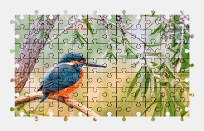 Jigsaw puzzle online bird,animal,nature,colorful