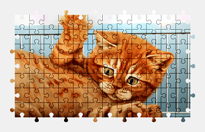 Jigsaw puzzle online kitten,cat,animal,colorful
