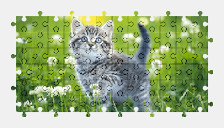 Jigsaw puzzle online kitten,animal,nature,grass,colorful
