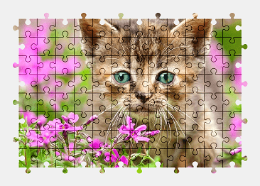 Jigsaw puzzle online kitten,animal,cat,colorful,flower,cute