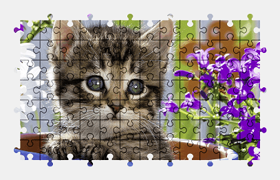 Jigsaw puzzle online kitten,animal,cat,colorful