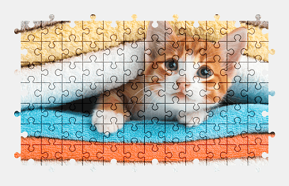 Jigsaw puzzle online kitten,pet,colorful,cat,animal