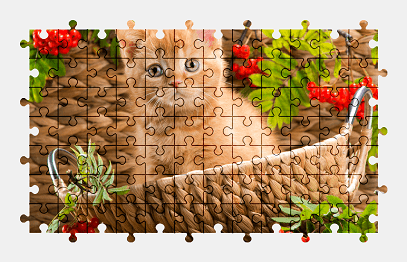 Jigsaw puzzle online kitten,animal,cat,colorful