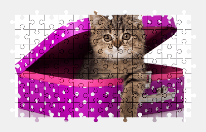 Jigsaw puzzle online kitten,cat,animal,purple,colorful