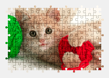 Jigsaw puzzle online kitten,cat,animal,colorful,yarn