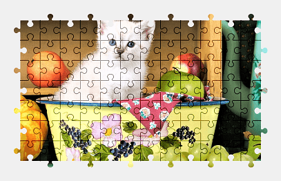 Jigsaw puzzle online white,kitten,cat,animal,fruit,colorful