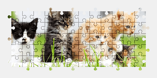 Jigsaw puzzle online kitten,cat,animal,colorful