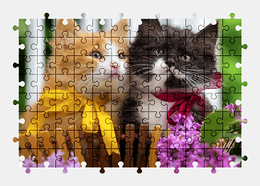 Jigsaw puzzle online kitten,cute,animal,cat,colorful,flower