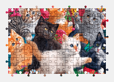 Jigsaw puzzle online kitten,cute,animal,colorful