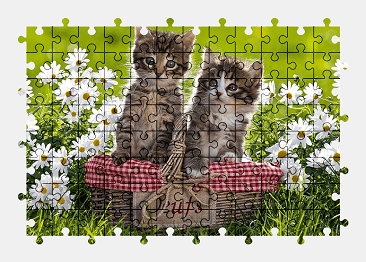 Jigsaw puzzle online kitten,flower,nature,colorful,cat