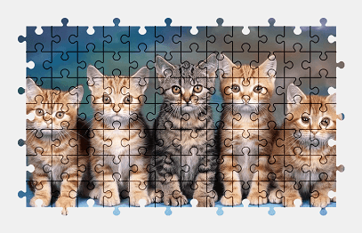 Jigsaw puzzle online kitten,animal,colorful,cat