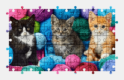 Jigsaw puzzle online kitten,yarn,colorful,animal,pet,cat