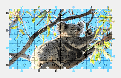 Jigsaw puzzle online koala,animal,nature