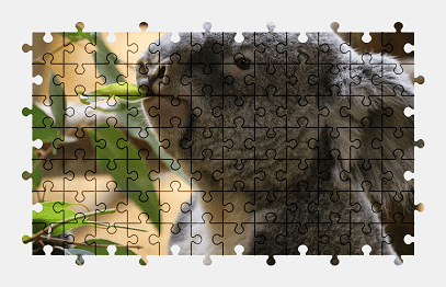 Jigsaw puzzle online koala,leaves,australia,animal