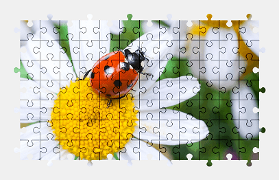 Jigsaw puzzle online ladybug,animal,flower,colorful,nature