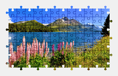 Jigsaw puzzle online lake,switzerland,nature,mountains,landscape,colorful,flower