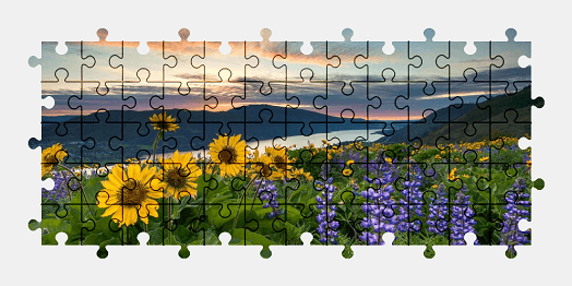 Jigsaw puzzle online landscape,flower,sunset,nature
