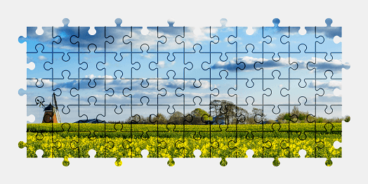 Jigsaw puzzle online windmill,denmark,flower,field,nature,landscape,colorful