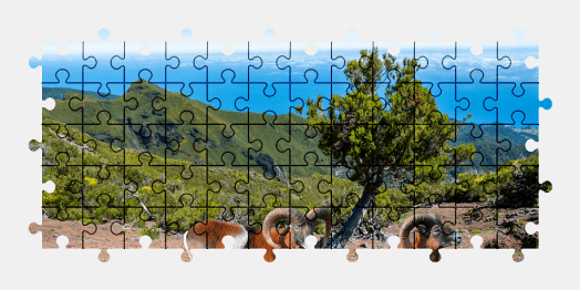 Jigsaw puzzle online landscape,animal,colorful
