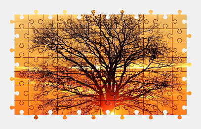 Jigsaw puzzle online tree,sunset,sky,sun,nature,colorful