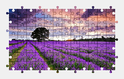 Jigsaw puzzle online flower,nature,colorful