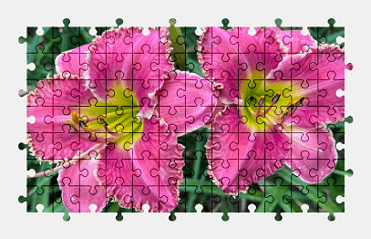 Jigsaw puzzle online daylily,flower,nature,colorful
