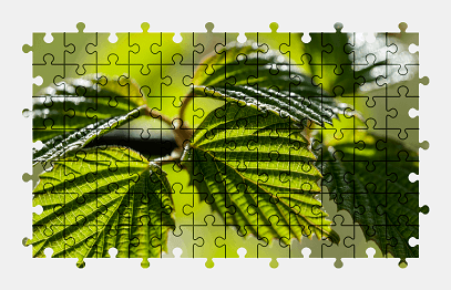 Jigsaw puzzle online leaves,colorful,nature