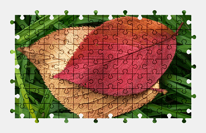 Jigsaw puzzle online leaves,autumn,nature,grass,plant,colorful
