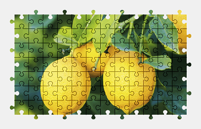 Jigsaw puzzle online yellow,lemon,tree,citrus,fruit,food,colorful