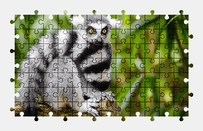 Jigsaw puzzle online lemur,animal,colorful