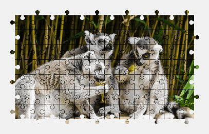 Jigsaw puzzle online lemur,animal,cute,colorful