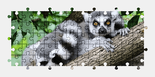 Jigsaw puzzle online lemur,animal,nature