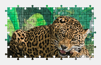 Jigsaw puzzle online leopard,animal,colorful