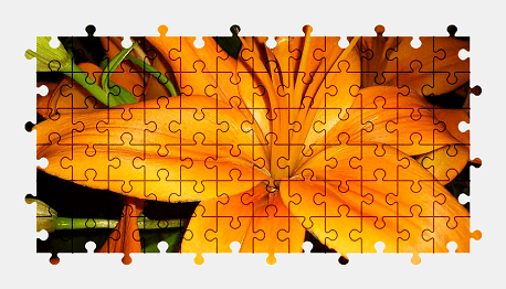 Jigsaw puzzle online orange,lily,bloom,flower,nature,colorful