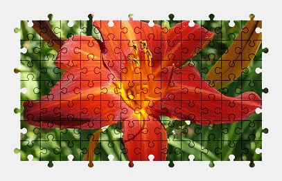 Jigsaw puzzle online red,daylily,flower,garden,nature,colorful
