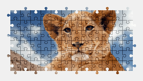 Jigsaw puzzle online lion,animal,colorful