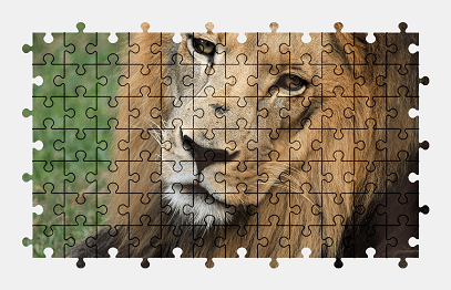 Jigsaw puzzle online lion,animal,africa